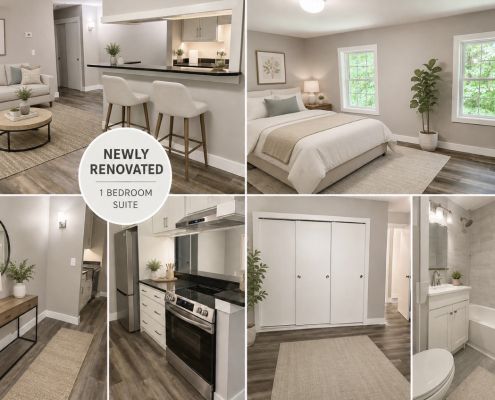 Carriage Hill Apartment Renovations